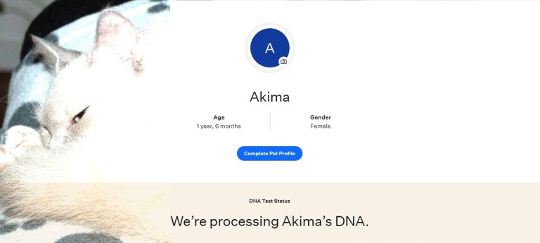 We’re processing Akima’s DNA.